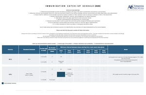 Immunisation catch-up schedule Private Vaccination Record 2024